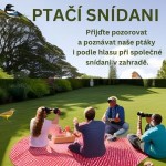 ptačí snídaně