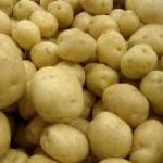 Sběr brambor pro školní jídelnu - 21. 9. 2023 1